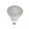 Compact Fluorescent Bulbs_R40