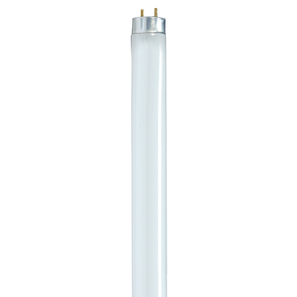 T8 Rapid Start Fluorescent Lamp_Neutral White